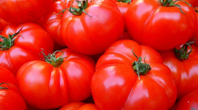 Amazing Health Benefits Of Tomatoes